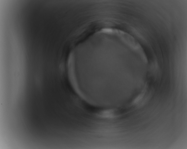 X0000100760178200807031157