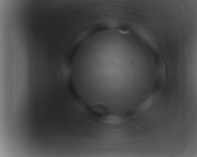 X0000100760180200807031157