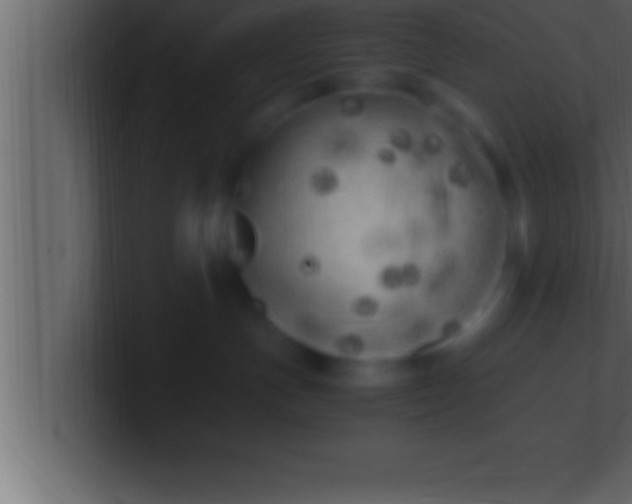 X0000100760191200807031157