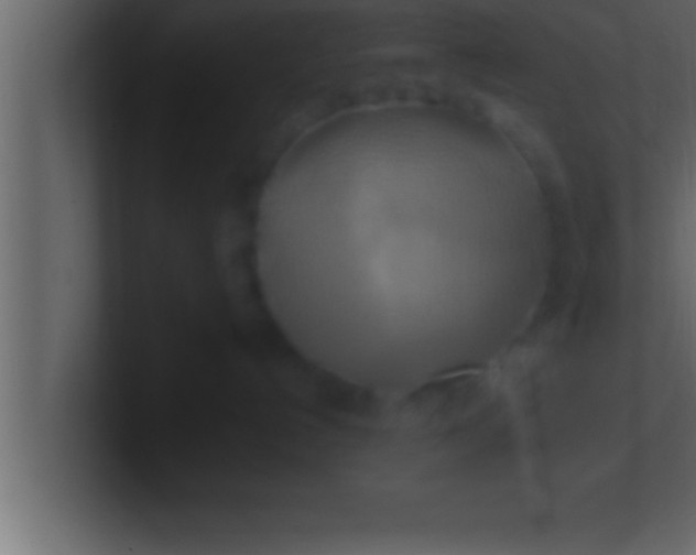 X0000100760192200807031157