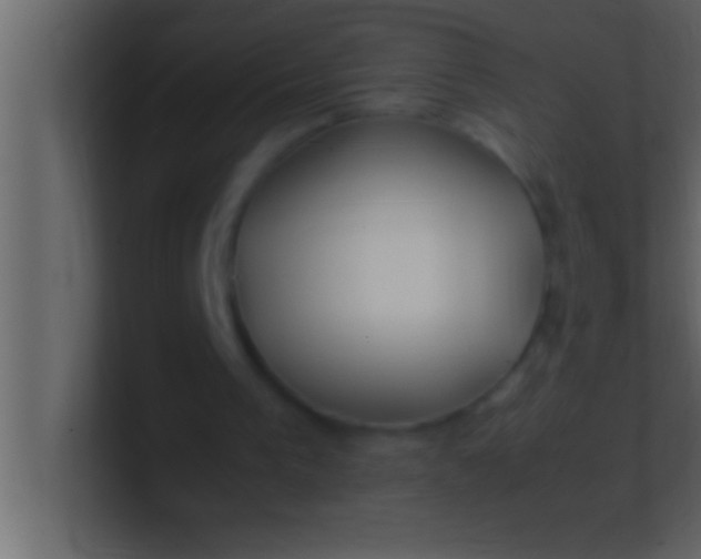 X0000100760193200807031157