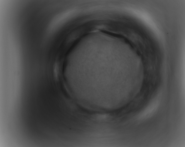 X0000100760194200807031157