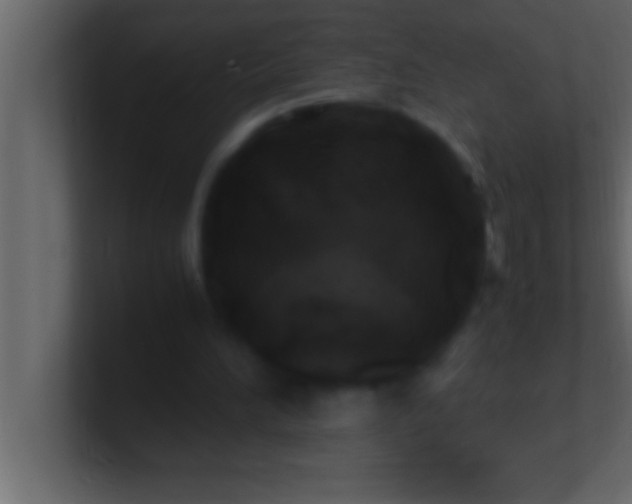 X0000100760196200807031157