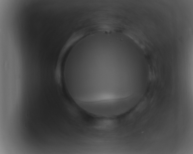 X0000100760198200807031157