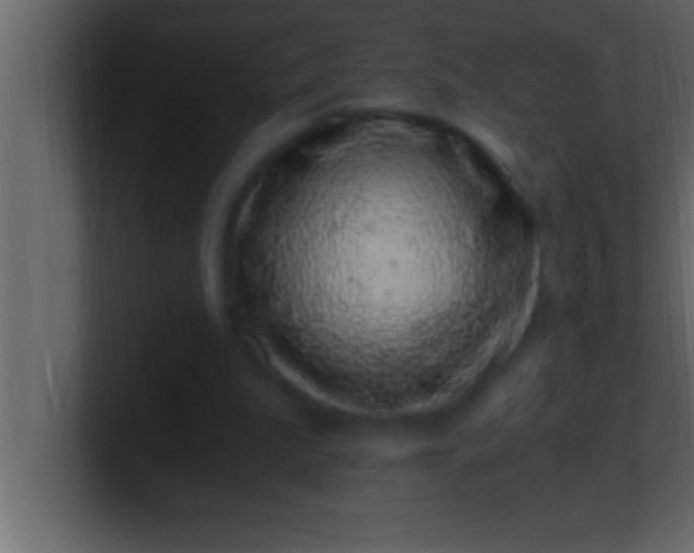 X0000100760199200807031157