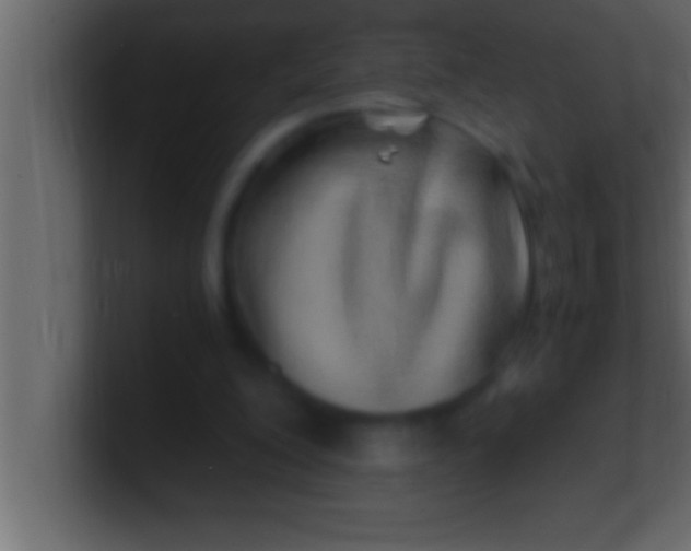 X0000100760200200807031156