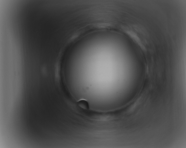 X0000100760201200807031156