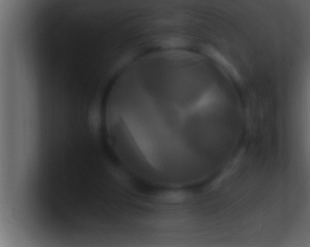 X0000100760202200807031156