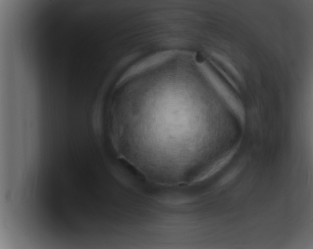 X0000100760203200807031156