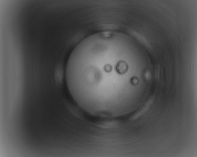 X0000100760206200807031156