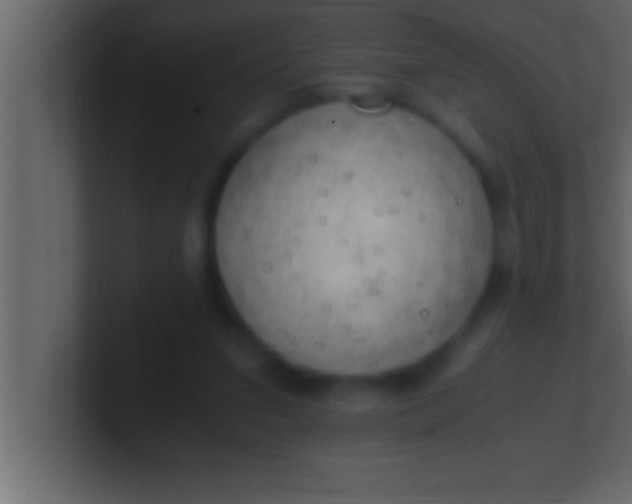 X0000100760207200807031156