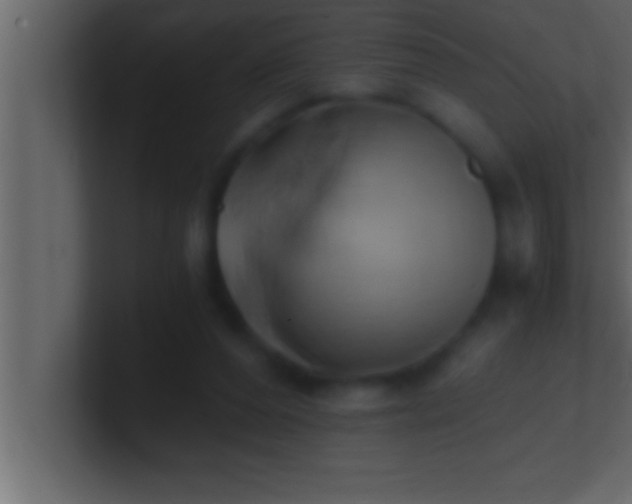 X0000100760208200807031156