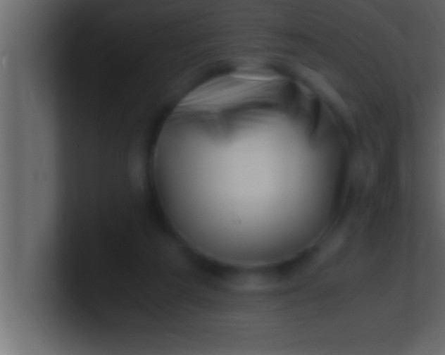 X0000100760209200807031156