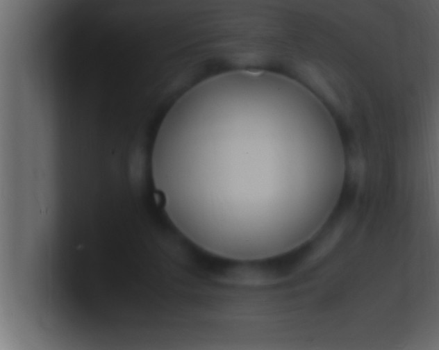 X0000100760211200807031156