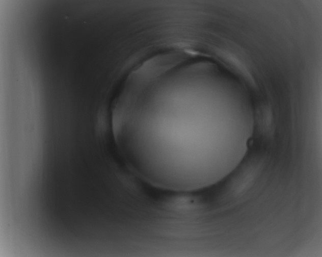 X0000100760212200807031156