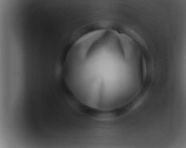 X0000100760213200807031156