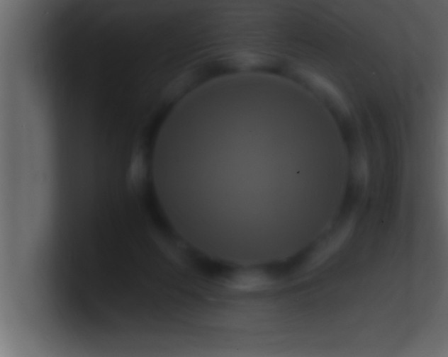 X0000100760214200807031156