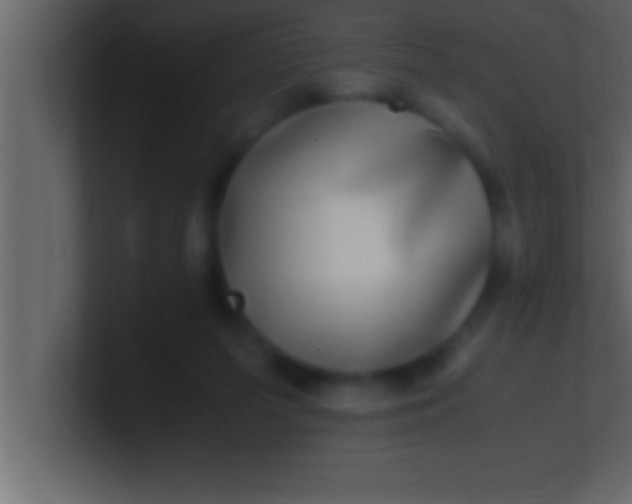 X0000100760215200807031156