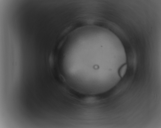 X0000100760216200807031156