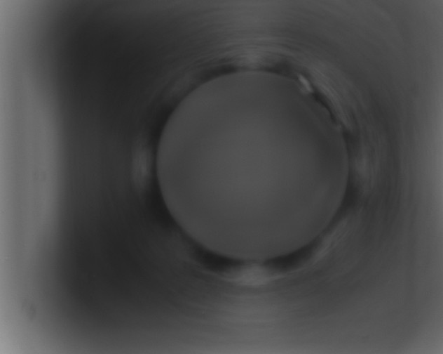 X0000100760219200807031156