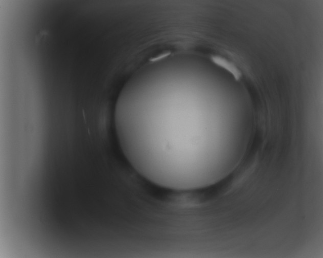 X0000100760221200807031156