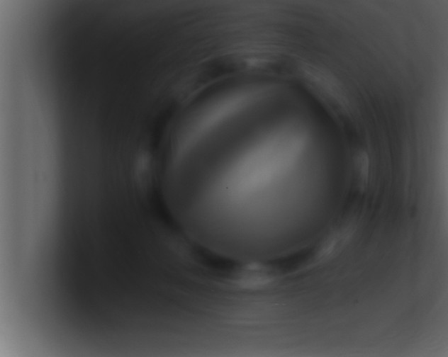 X0000100760222200807031156