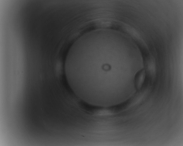 X0000100760224200807031156