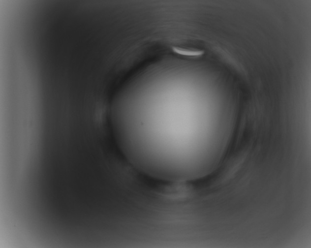 X0000100760225200807031156