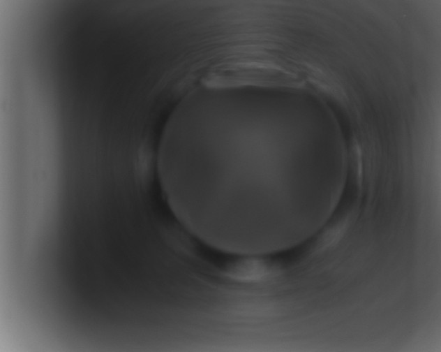 X0000100760227200807031156