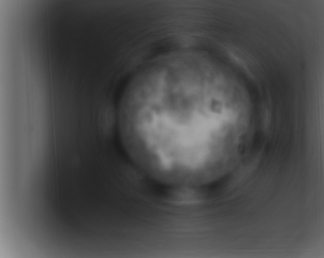 X0000100760230200807031156