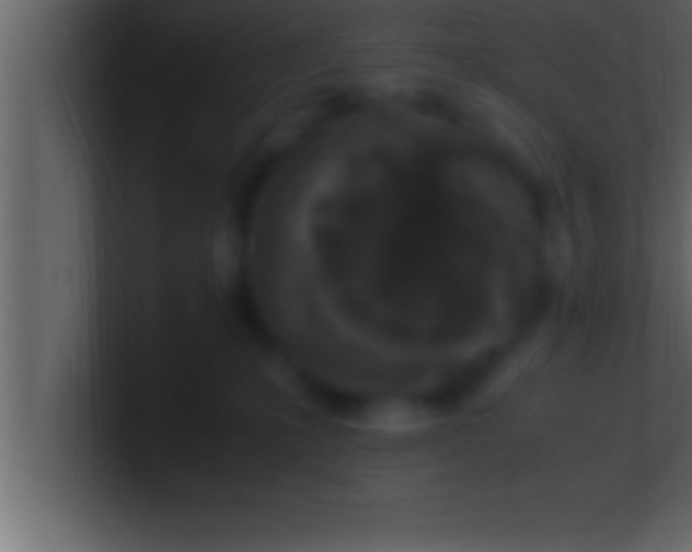 X0000100760231200807031156