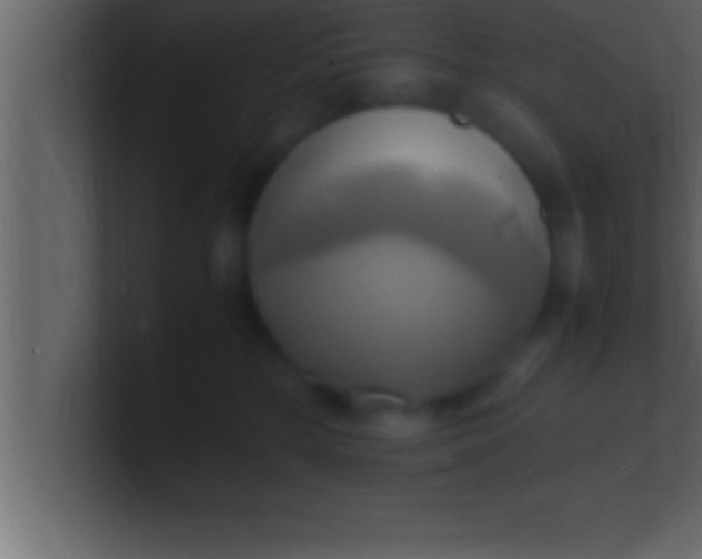 X0000100760232200807031156