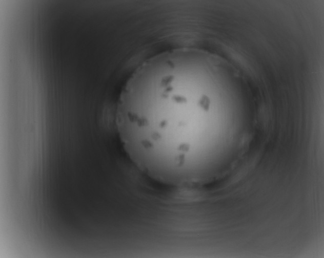 X0000100760234200807031156