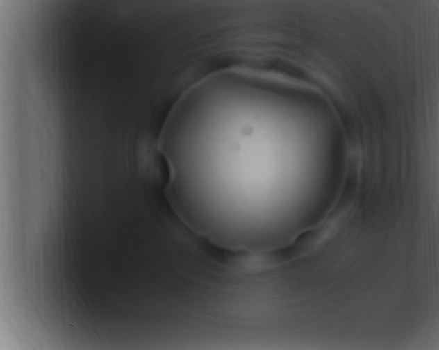 X0000100760237200807031156