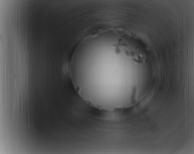 X0000100760238200807031156