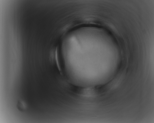 X0000100760240200807031156