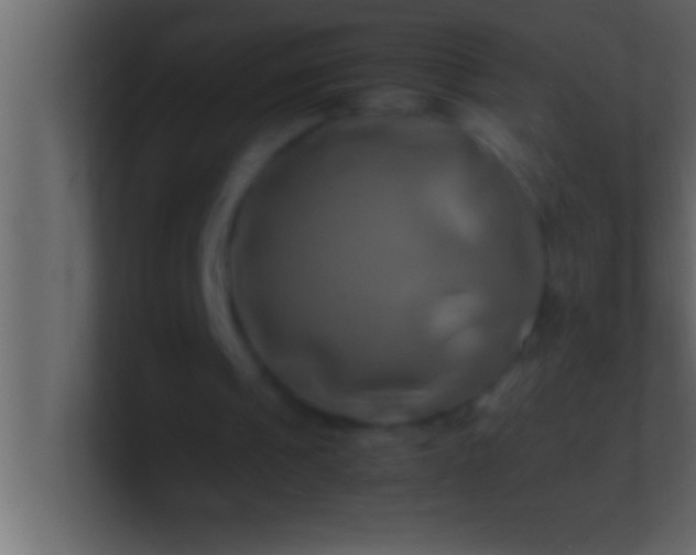 X0000100760241200807031155