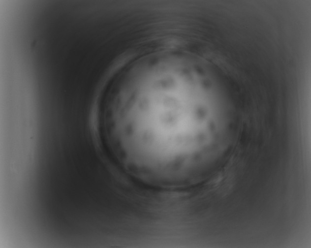 X0000100760242200807031155