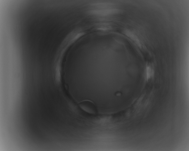 X0000100760243200807031155