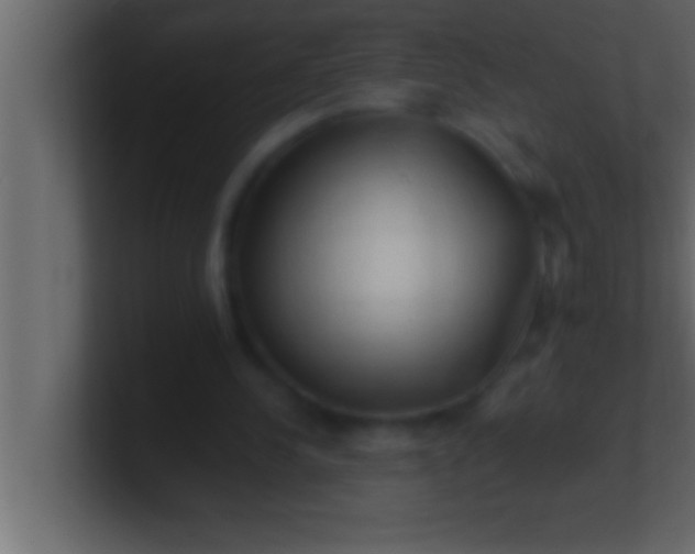 X0000100760244200807031155