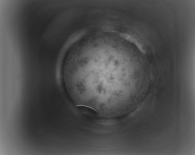 X0000100760245200807031155