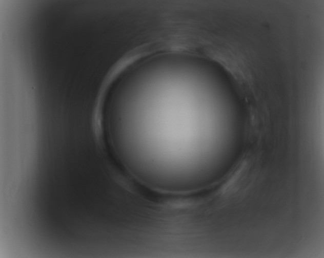 X0000100760246200807031155