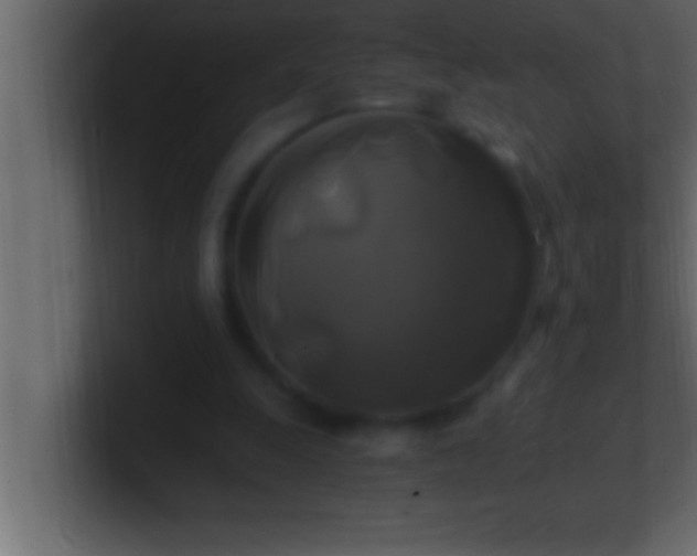 X0000100760247200807031155