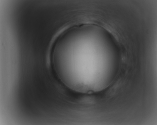 X0000100760248200807031155