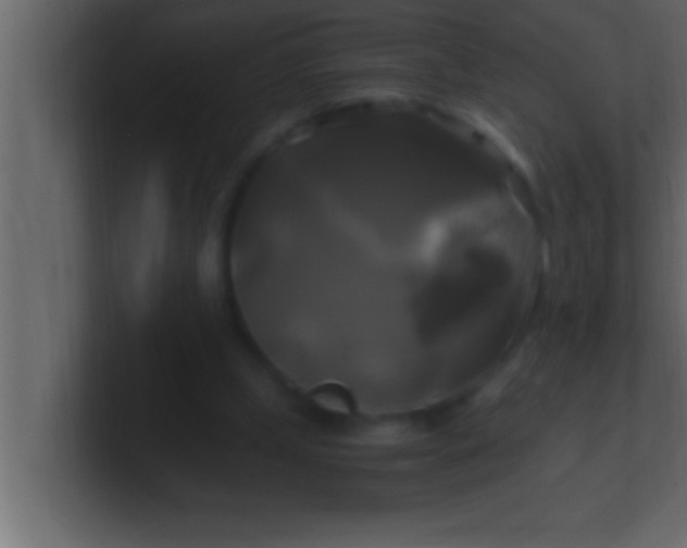 X0000100760249200807031155