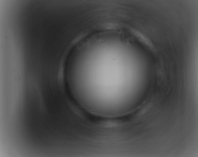 X0000100760250200807031155