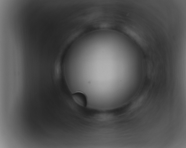 X0000100760251200807031155