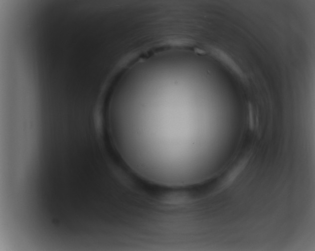 X0000100760252200807031155