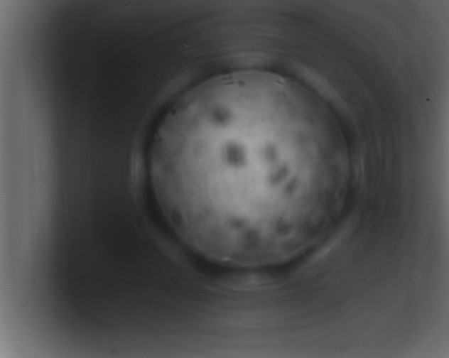 X0000100760254200807031156