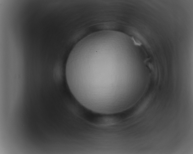 X0000100760255200807031156